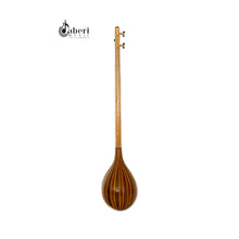 Load image into Gallery viewer, Setar Berakhani