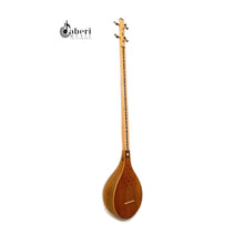 Load image into Gallery viewer, Setar Berakhani