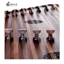 Load image into Gallery viewer, Santoor Hamid Mousavi