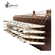 Load image into Gallery viewer, Santoor Hamid Mousavi